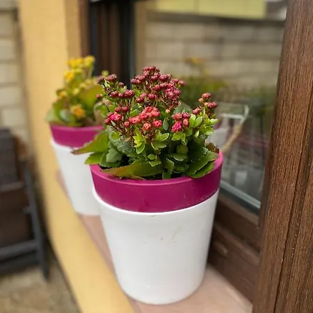 Apartment Fewo Dana Neckarsteinach